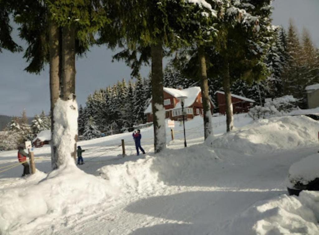 Relax Harrachov Apartments Экстерьер фото